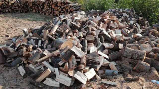 Повече от 230 проверки за седмица на територията на РДГ-София